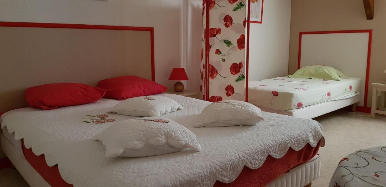 Les Brulis Chambre D'Hotes Châtillon-sur-Loire 외부 사진